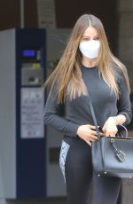 SOFIA VERGARA in Tights Out and About in Los Angeles 10/22/2020