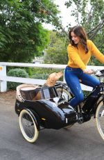 SOPHIA BUSH Out Driving Her Dog at a Bike in Los Angeles 10/27/2020