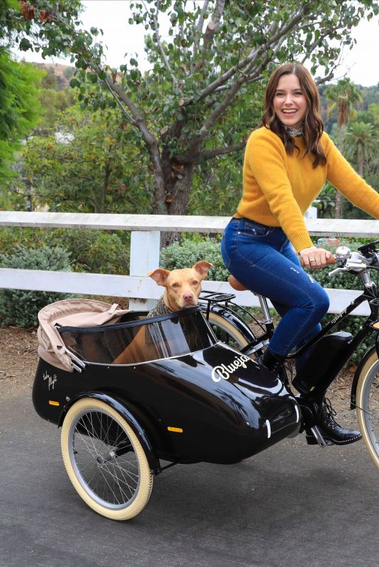 SOPHIA BUSH Out Driving Her Dog at a Bike in Los Angeles 10/27/2020