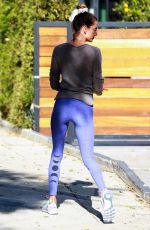 ALESSANDRA AMBROSIO Arrives at Pilates Studio in Los Angeles 11/10/2020