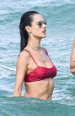 ALESSANDRA AMBROSIO in a Red Bikini at a Beach in Florianópolis 11/21/2020