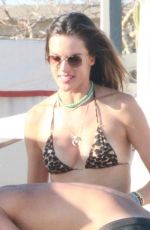 ALESSANDRA AMBROSIO in Bikini in Cabo San Lucas 11/02/2020