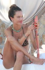 ALESSANDRA AMBROSIO in Bikini in Cabo San Lucas 11/02/2020