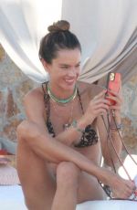 ALESSANDRA AMBROSIO in Bikini in Cabo San Lucas 11/02/2020