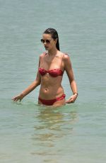 ALESSANDRA AMBROSIO in Bikini on the Beach in Florianopolis 11/17/2020