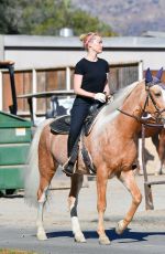 AMBER HEARD Out on Horseback Ride in Los Angeles 11/28/2020