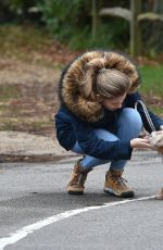 AMY HART Out with Her Dog in West Sussex 11/27/2020
