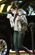 ANA DE ARMAS Out with Her Dog in New Orleans 11/20/2020