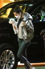 ANA DE ARMAS Out with Her Dog in New Orleans 11/20/2020