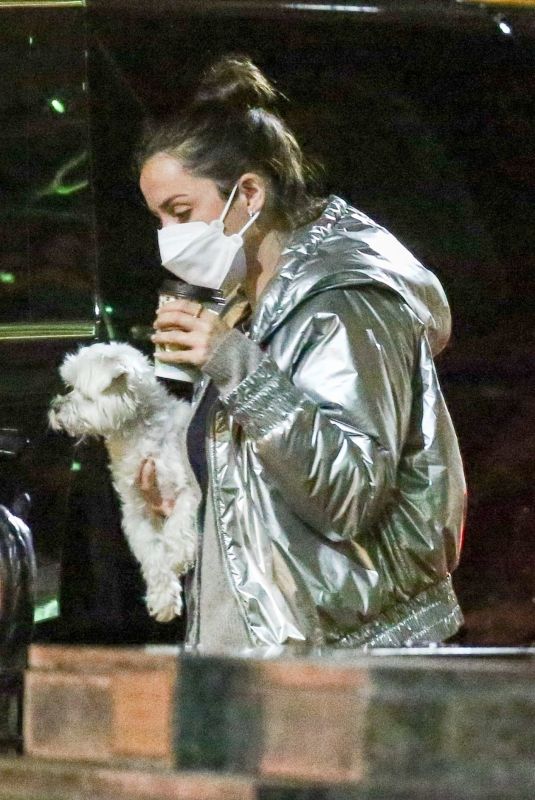 ANA DE ARMAS Out with Her Dog in New Orleans 11/20/2020