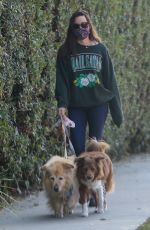 AUBREY PLAZA Out with Her Dogs in Los Angeles 11/21/2020