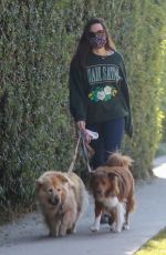 AUBREY PLAZA Out with Her Dogs in Los Angeles 11/21/2020