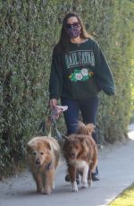 AUBREY PLAZA Out with Her Dogs in Los Angeles 11/21/2020
