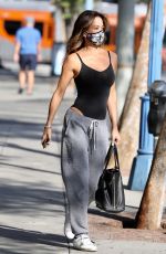 BROOKE BURKE Out and About in West Hollywood 11/11/2020