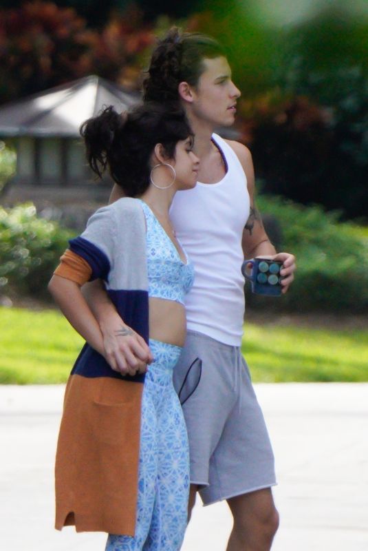 CAMILA CABELLO and Shawn Mendes Out in Hollywood 11/15/2020