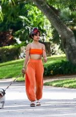 CAMILA CABELLO and Shawn Mendes Out with Their Dogs in Miami 10/31/2020