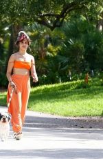 CAMILA CABELLO and Shawn Mendes Out with Their Dogs in Miami 10/31/2020