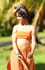 CAMILA CABELLO Out with Her Dogs in Miami 10/31/2020