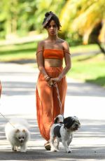 CAMILA CABELLO Out with Her Dogs in Miami 10/31/2020