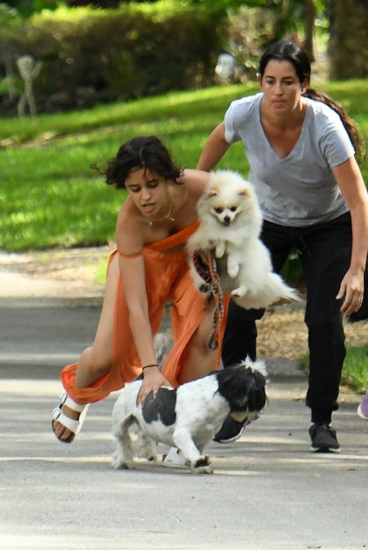 CAMILA CABELLO Out with Her Dogs in Miami 10/31/2020