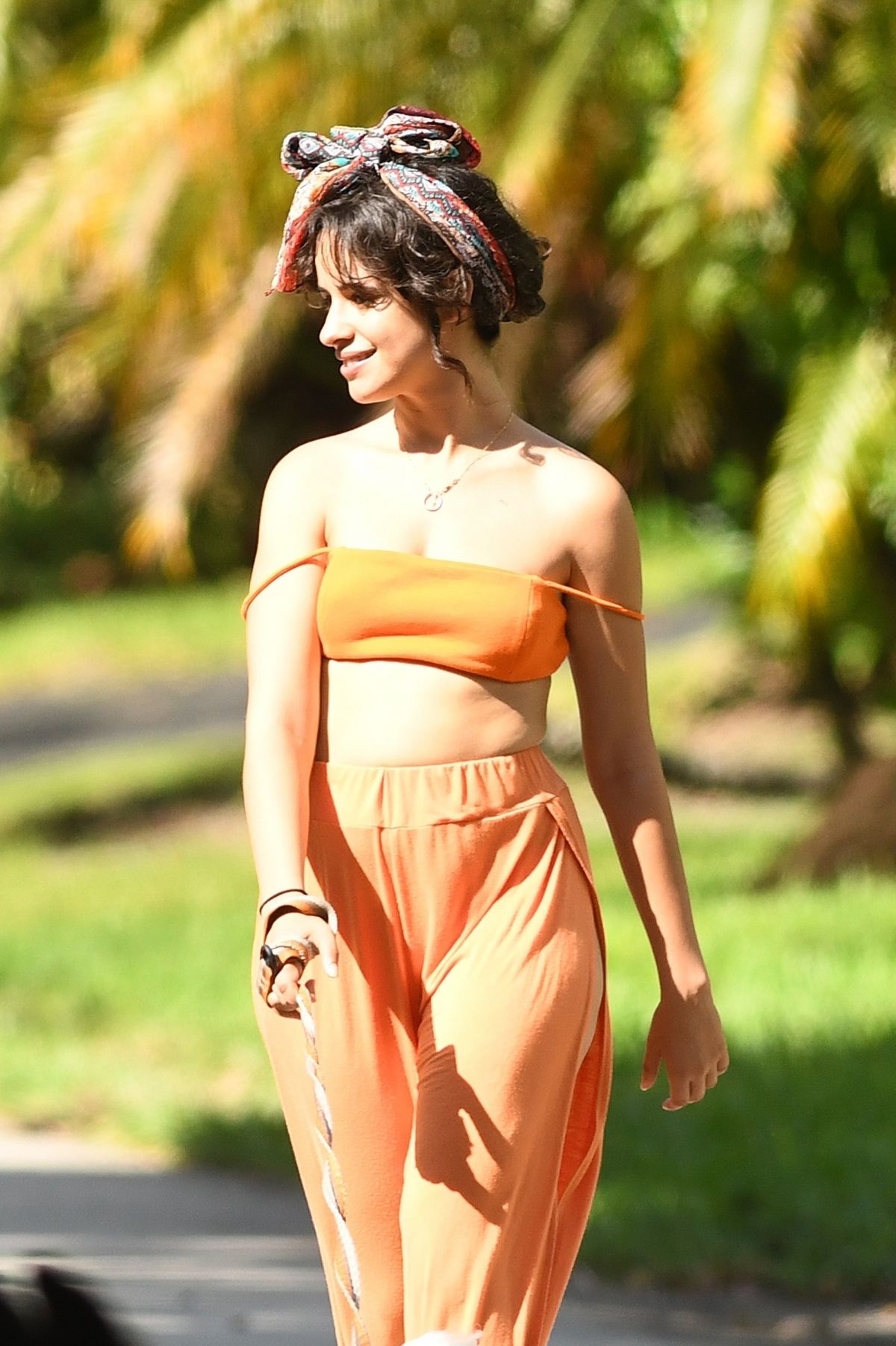 camila-cabello-out-with-her-dogs-in-miami-10-31-2020-4.jpg