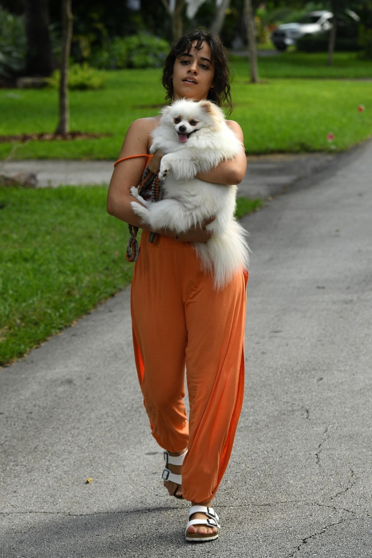camila-cabello-out-with-her-dogs-in-miami-10-31-2020-9.jpg