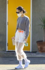 CARA SANTANA Heading to a Gym in West Hollywood 11/11/2020