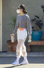 CARA SANTANA Heading to a Gym in West Hollywood 11/11/2020