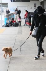 CATHERINE ZETA JONES Out with Her Dog in Los Angeles 11/20/2020