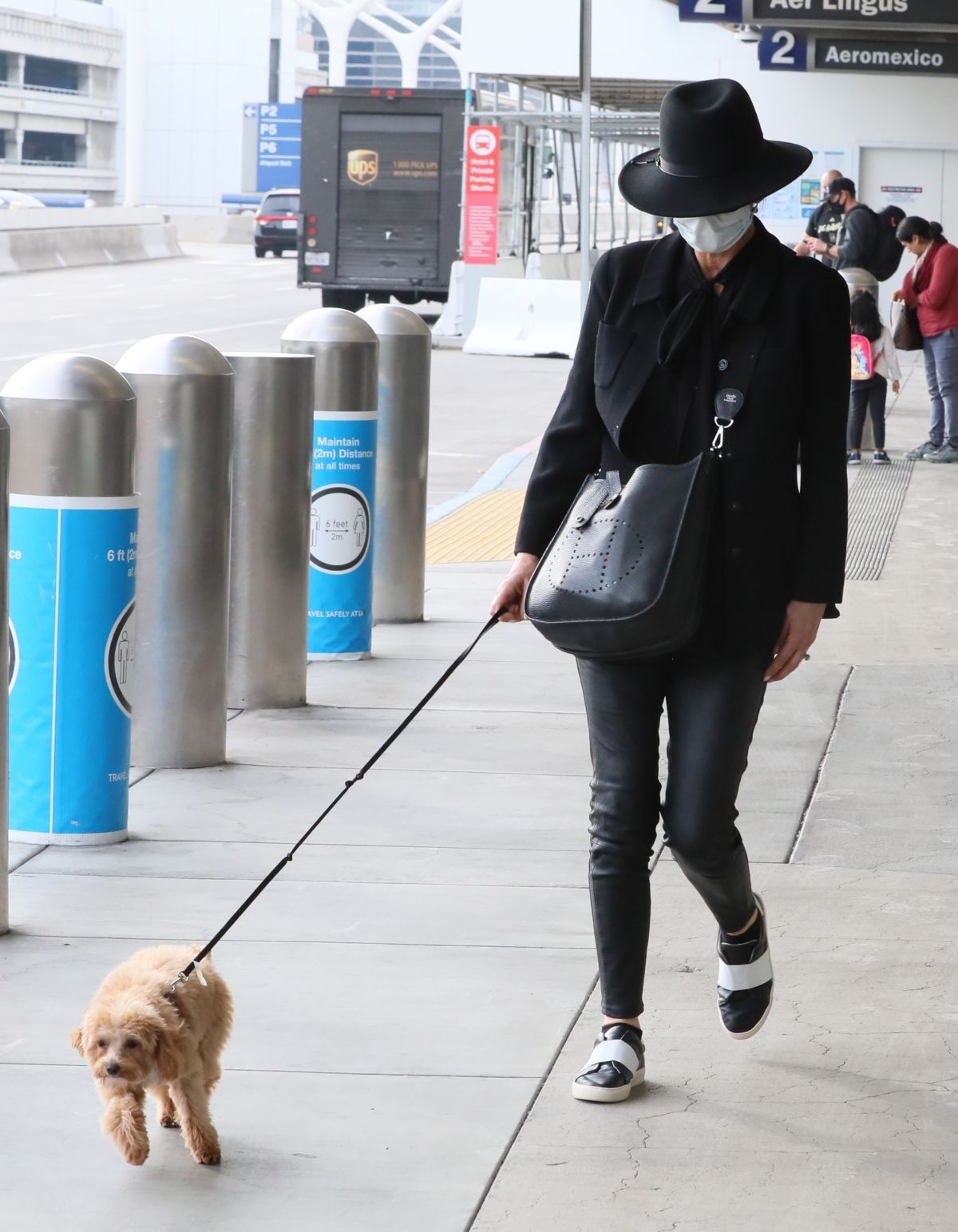catherine-zeta-jones-out-with-her-dog-in-los-angeles-11-20-2020-1.jpg