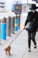 CATHERINE ZETA JONES Out with Her Dog in Los Angeles 11/20/2020