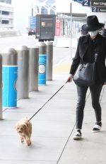 CATHERINE ZETA JONES Out with Her Dog in Los Angeles 11/20/2020