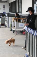 CATHERINE ZETA JONES Out with Her Dog in Los Angeles 11/20/2020