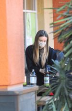 CHLOE BENNET and Gregg Sulkin at Erewhon Market in Los Angeles 11/12/2020
