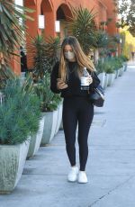 CHLOE BENNET and Gregg Sulkin at Erewhon Market in Los Angeles 11/12/2020