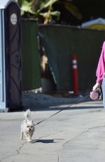 CHRISHELL STUASE Out with Her Dog in Los Angeles 11/13/2020