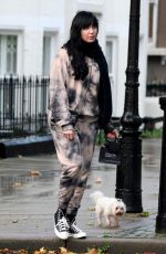 DAISY LOWE Out in Primrose Hill 10/27/2020