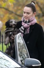DAISY RIDLEY Out with Her Dog in London 11/17/2020