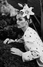 DAPHNE GROENEVELD in Harper