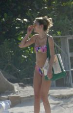 DELILAH HAMLIN in Bikini and Scott Disick at a Beach in Tulum 11/17/2020