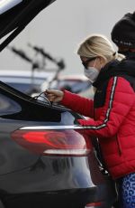 DENISE VAN OUTEN Out Shopping in Chelmsford 11/24/2020