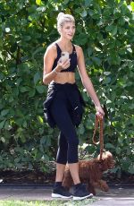 DEVON WINDSOR Out with her Dog in Miami 11/24/2020