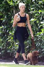 DEVON WINDSOR Out with her Dog in Miami 11/24/2020
