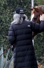 DIANE KEATON Out with Her Dog in Brentwood 11/20/2020