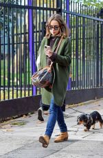 EMILIA CLARKE Out with Her Dog in London 11/01/2020
