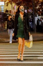 FAMKE JANSSEN Out and About in New York 11/05/2020