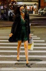 FAMKE JANSSEN Out and About in New York 11/05/2020