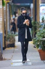 FAMKE JANSSEN Out and About in New York 11/16/2020