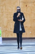 FAMKE JANSSEN Out and About in New York 11/16/2020