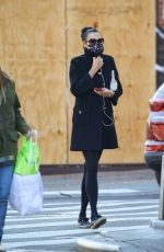 FAMKE JANSSEN Out and About in New York 11/16/2020
